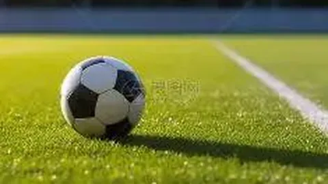 苏翊鸣雪场翱翔：勇攀巅峰，五圈半飞翔探险记