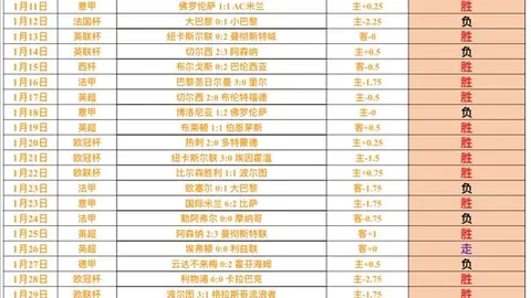 韩国2025世界杯扫描